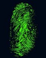 Fingerprint 2.JPG